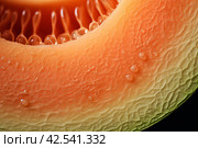 Melon half closeup. Generate Ai. Стоковое AI-изображение, AI-художник Иван Рябоконь / Фотобанк Лори