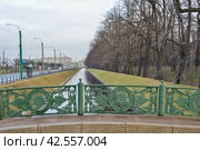 Лебяжий мост через Лебяжью Канавку в Санкт-Петербурге (2013 год). Стоковое фото, фотограф Александр Алексеев / Фотобанк Лори