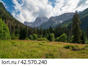 View of Kosygin's glade (Buulu Tala) in the Gonachkhir gorge and the top of Dombai-Ulgen mountain near Dombai ski resort on a sunny summer day, Karachay-Cherkessia, Russia. Стоковое фото, фотограф Ula Ulachka / Фотобанк Лори