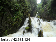 Водопад Телецкого озера- Эстюбе , республика Алтай. Стоковое фото, фотограф Римма Тельнова / Фотобанк Лори