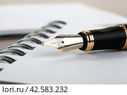fountain pen on the notepad on a table. Стоковое фото, фотограф Александр Калугин / Фотобанк Лори