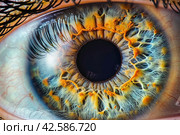 Close-up of a blue and brown human eye with a radial fiber pattern. Стоковое AI-изображение, AI-художник Юрий Поздников / Фотобанк Лори