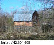 Деревянный дом на дачном участке. Богородский городской округ. Московская область (2013 год). Стоковое фото, фотограф lana1501 / Фотобанк Лори