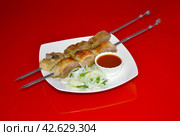 Шашлык из утки на белой тарелке с луком и соусом на зеркальном красном фоне. Стоковое фото, фотограф Михаил Киселев / Фотобанк Лори