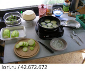 Дачный быт. Сковородка на электрической плитке (2012 год). Редакционное фото, фотограф lana1501 / Фотобанк Лори