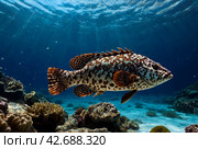 Malabar grouper swimming in tropical underwaters. Grouper in underwater world. Observation of animal world. Scuba diving adventure in South Africa coast of RSA. Стоковое AI-изображение, AI-художник Aleksandr Golubev / Фотобанк Лори