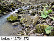 Ручей Коваленко, Адыгея. Стоковое фото, фотограф Оглоблин Андрей Николаевич / Фотобанк Лори