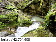 Водопад на ручье Коваленко, Адыгея. Стоковое фото, фотограф Оглоблин Андрей Николаевич / Фотобанк Лори