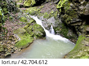 Водопад на ручье Коваленко, Адыгея. Стоковое фото, фотограф Оглоблин Андрей Николаевич / Фотобанк Лори