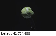 Ripe Brussels sprouts spin on a fork on a dark background. Exquisite cuisine. Close-up shooting. Food shooting. Стоковое видео, видеограф Ярославский Максим / Фотобанк Лори