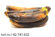 A bunch of rotten bananas isolated on white background. Стоковое фото, фотограф Андрей Митин / Фотобанк Лори