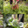 Video collage of farmer harvests fresh vegetables from a small local farm. Close-up of female hands. Agriculture - food production, organic vegetables, farming concept. Стоковое видео, видеограф EStarodubov / Фотобанк Лори