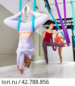 Woman doing inverted butterfly pose in hammock with arms twisted. Стоковое фото, фотограф Яков Филимонов / Фотобанк Лори