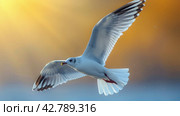 White Bird Soaring in Sunlit Sky. Стоковое AI-изображение, AI-художник Юлия Гапеенко / Фотобанк Лори