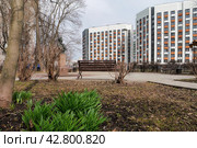 Десятиэтажный дом новостройка. На переднем плане посаженная в весеннюю почву рассада цветов. Бульвар с бюстом Пушкина. (2024 год). Редакционное фото, фотограф Сергей Никифоров-Гордеев / Фотобанк Лори