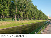 Лебяжья канавка в Санкт-Петербурге (2011 год). Стоковое фото, фотограф Александр Алексеев / Фотобанк Лори