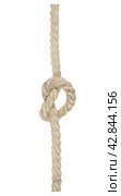 Thick white rope tied with knot isolated on white background. Стоковое фото, фотограф Сизов Иван Николаевич / Фотобанк Лори