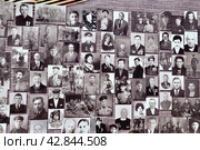 Портреты ветеранов на стене памяти. Город Тюмень (2016 год). Редакционное фото, фотограф Александр Тараканов / Фотобанк Лори