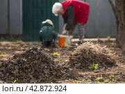 Clean-up day in early spring. Piles of old leaves in the foreground are in focus. A woman and a child are doing general cleaning in the garden in the background. People clean the lawn of dry leaves in the spring season. Gardening. Garden cleaning. Стоковое фото, фотограф Photojuli / Фотобанк Лори