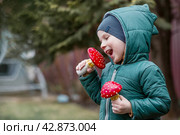 A child and a fly agaric. The boy with the fly agaric. A dangerous poisonous mushroom in the hands of a child. Mushroom poisoning, microdosing, eating herbal medicine. Стоковое фото, фотограф Photojuli / Фотобанк Лори