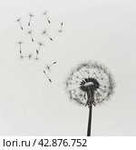 Dandelion Seed Dispersal. Стоковое AI-изображение, AI-художник Кирилл Черезов / Фотобанк Лори