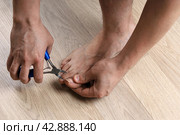 Male hands cut nails on leg using tool for pedicure, on wooden floor. Стоковое фото, фотограф Vladimir Vikhrov / Фотобанк Лори