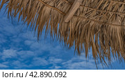 A fragment of a beach straw sunshade against a background of blue sky and clouds. The texture and weave are visible. Upper right corner. Close-up. Copy Space. Стоковое фото, фотограф Вера Ивановна Кубарева / Фотобанк Лори