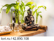 Spathiphyllum cochlearispathum commonly called peace lily growing in water in glass, with buddha. Стоковое фото, фотограф Татьяна Терехина / Фотобанк Лори