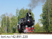 Узкоколейный паровоз ВП-1425, станция Екатеринбург-Детский, Екатеринбургская ДЖД (2017 год). Редакционное фото, фотограф Алексей Иванов / Фотобанк Лори