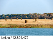 Большие рулоны соломы, лежащие на скошенном поле после уборки зерна, осенний день в поле. Стоковое фото, фотограф Pukhov K / Фотобанк Лори
