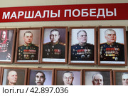 Стенд с портретами генералов ВОВ 1941-1945 г.г. на выставке в музее Ветеранов в Балашихе (2024 год). Редакционное фото, фотограф Дмитрий Неумоин / Фотобанк Лори