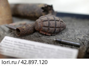 Граната с полей ВОВ 1941 - 1945 г.г. на выставке в музее Ветеранов в Балашихе (2024 год). Редакционное фото, фотограф Дмитрий Неумоин / Фотобанк Лори