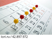 wall calendar with number of days needles in a row. Стоковое фото, фотограф Александр Калугин / Фотобанк Лори