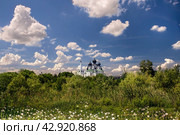 Resurrection Military Cathedral (2021 год). Стоковое фото, фотограф Анна Вигера / Фотобанк Лори