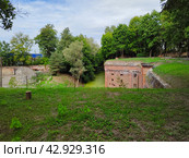 Форд √1 "Штайн" (2023 год). Редакционное фото, фотограф Ольга Иванова / Фотобанк Лори