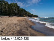 View of the Baltic Sea coast near the village of Lesnoy on the Curonian Spit on a sunny summer day, Kaliningrad region, Russia. Стоковое фото, фотограф Ula Ulachka / Фотобанк Лори
