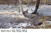 Ice is water in a solid state of aggregation. Ice icicles and stalactites on tree branches near the water. Spring flood. water forms crystals of one crystalline modification - the hexagonal system. Стоковое видео, видеограф Юлия Петровская / Фотобанк Лори