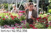 Girl is touch and mesmerized by dense and thick rich inflorescences of decorative half-shrub pentas. Стоковое видео, видеограф Яков Филимонов / Фотобанк Лори