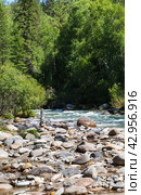 Rocky mountain river with green forest along banks on summer day. Beautiful summer landscape with stone pyramid stacked by tourists. Ehe-Ukhgun river, Tunka foothill valley, Buryatia, Baikal region. Стоковое фото, фотограф Виктория Катьянова / Фотобанк Лори