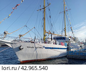 Учебного парусное судно"Юный Балтику".Санкт.Петербург. (2023 год). Редакционное фото, фотограф Кургузкин Константин Владимирович / Фотобанк Лори