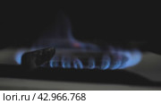 Крупный план горелки газовой плиты. Из металлических отверстий конфорки вырывается голубое пламя. Варочная панель включена и готова к приготовлению пищи. Плита является надежным источником тепла для приготовления пищи. Стоковое видео, видеограф Воловодов Владимир / Фотобанк Лори