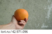 Grapefruit fruit in male hands. Washed fresh fruit on concrete wall background. Стоковое видео, видеограф Дмитрий Кобзев / Фотобанк Лори