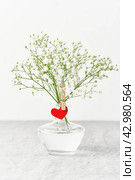 Valentine's Day. Delicate white flowers in vase. Red felt heart - symbol of love. Стоковое фото, фотограф Natalia Gdovskaia / Фотобанк Лори