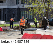 Рабочие с лопатами в ярких жилетах укладывают бордюрный камень на улице Академика Комарова в Москве (2024 год). Редакционное фото, фотограф Наталья Николаева / Фотобанк Лори