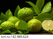 Ripe bergamot. Generate Ai. Стоковое AI-изображение, AI-художник Иван Рябоконь / Фотобанк Лори