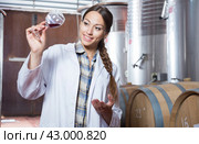 Professional checks the wine at factory in France. Стоковое фото, фотограф Татьяна Яцевич / Фотобанк Лори