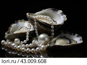 Bivalve Pearls mussel shells. Generate ai. Стоковое AI-изображение, AI-художник Иван Рябоконь / Фотобанк Лори