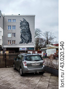 Граффити с котом на стене здания. Зеленоградск. Калининградская область (2023 год). Редакционное фото, фотограф Сергей Афанасьев / Фотобанк Лори