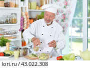 Portrait of chef cooking in kitchen, cook preparing food. Стоковое фото, фотограф Ruslan Huzau / Фотобанк Лори
