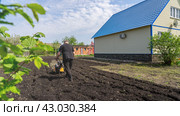Cottage, plot of land in front of the house. Man ploughing land with cultivator on sunny spring day. Concept of gardening, gardening, dacha. Стоковое фото, фотограф Скрипачев Антон / Фотобанк Лори